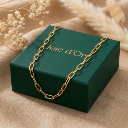 Ria Gold Chain Necklace - Joie d’Or